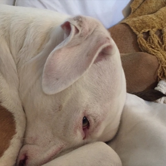 Organized By Size - Picture 2 of 6